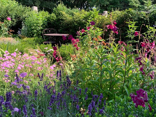Nina-Baxter-Garden-Design_Home_3