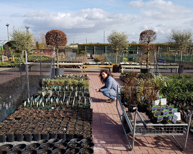 Nina-Baxter-Garden-Design_Planting_1