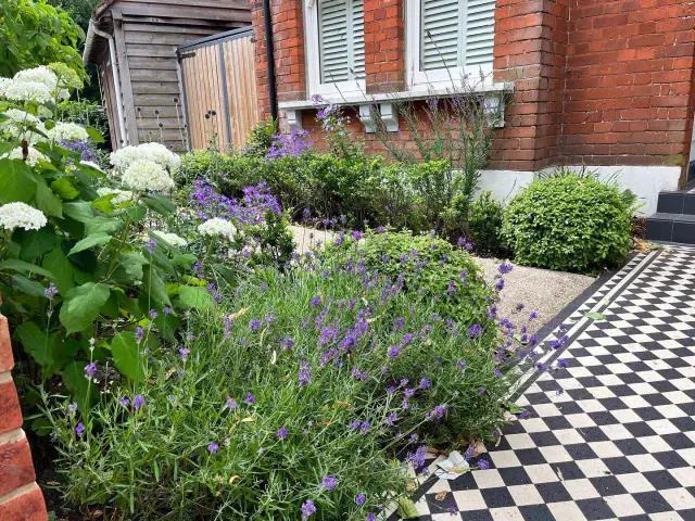 I love creating front gardens because you can keep an eye on them 👀
Some simple curb appeal here for this beautiful Victorian house.
.
.
.
.
#frontgardens #frontgardendesign #gardendesign #victorianhouse #victoriantiles #planting #plantingdesign #curbappeal #traditionalgarden #simplehomestyle #homedesign #homesweethome #gardenstyle #gardensofinstagram #gardening #beckenham #beckenhammums #beckenhamgardens #beckenhamgardendesigner