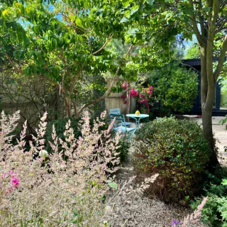 The evolution of a garden and the importance of trees #treesindesign #gardenevolution